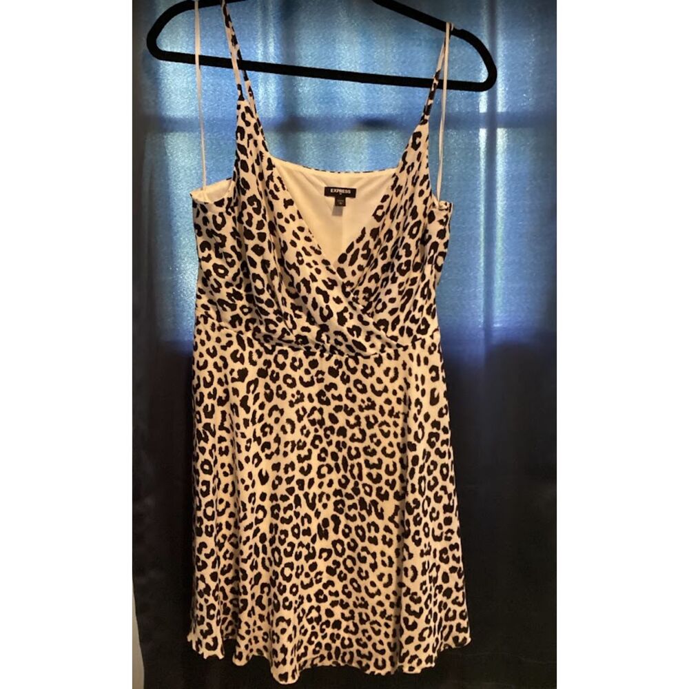 Express Dress